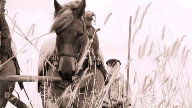 М.Ю.Лермонтов " Родина " смотреть онлайн