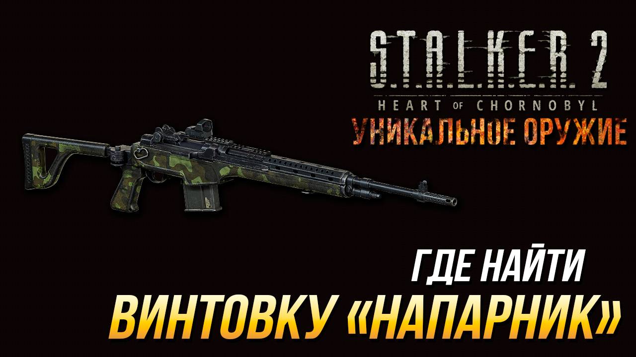 S.T.A.L.K.E.R. 2 - Где найти уникальную винтовку "Напарник" смотреть онлайн