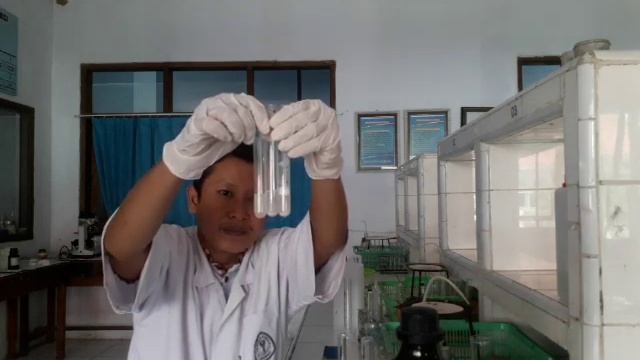 Identifikasi Senyawa Golongan Fenol (Analisis Kualitatif) смотреть онлайн
