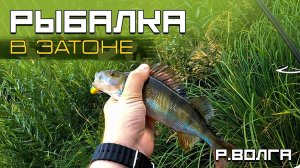 Рыбалка на спиннинг. Вечерний клев на поппер!