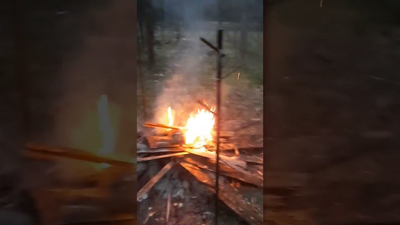 Вечер у избы. Таёжный быт #рыбалка #охота #костёр #изба #шулюм