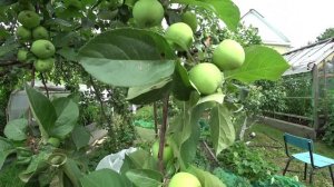 Влог от 11.07.2020