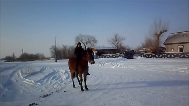 Гриша на лошади смотреть онлайн