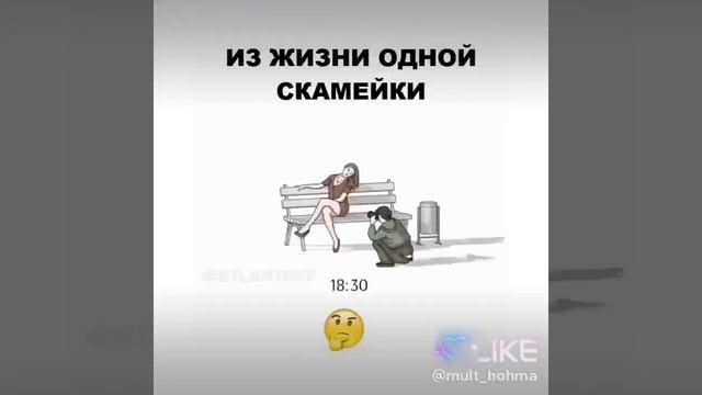 Жизнь скамейки.