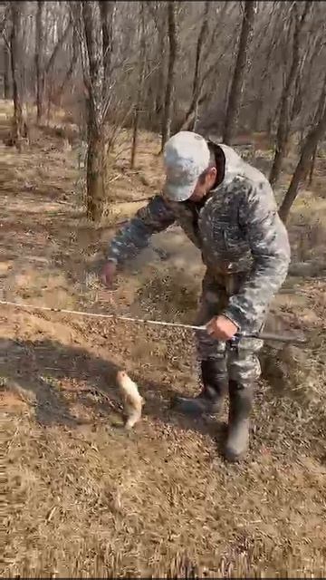 ВЕСНА, СЕЗОН ОТКРЫТ.