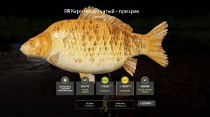 РАЗДАЧА ЦВЕТНЫХ КАРПОВ НА ЯНТАРНОМ ОЗЕРЕ В РУССКОЙ РЫБАЛКЕ 4 РР4