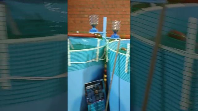 УЗВ для любимых карпов из пруда, на зимнее время! смотреть онлайн