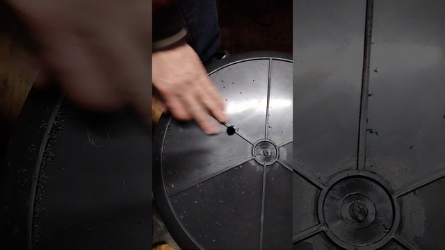 В какую ёмкость сажаем голубику?