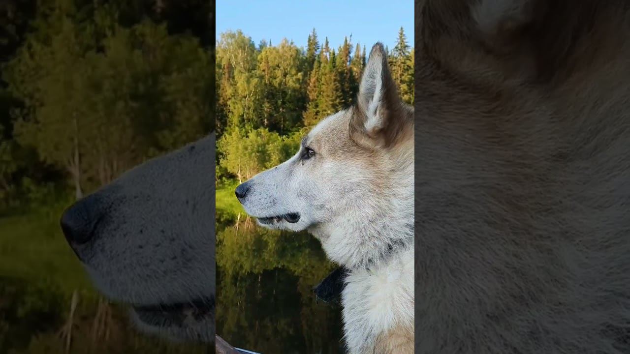 Я узнал, что у меня...