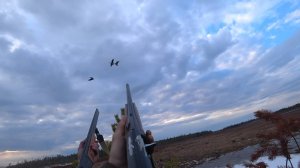 СЕВЕРНАЯ ОХОТА НА ГУСЕЙ. ВЕСНОВКА НА БОЛОТЕ. ЧАСТЬ 1.