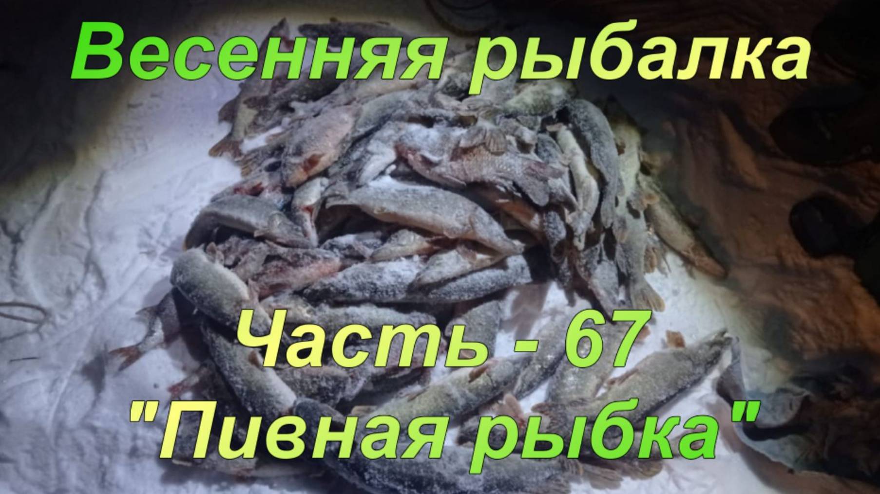 Весенняя рыбалка. Часть - 67. "Пивная рыбка". смотреть онлайн