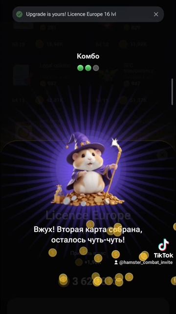 Новое комбо 12.06.2024#хамстеркомбат #комбо #европа #крипта #криптовалюта #хомяк смотреть онлайн