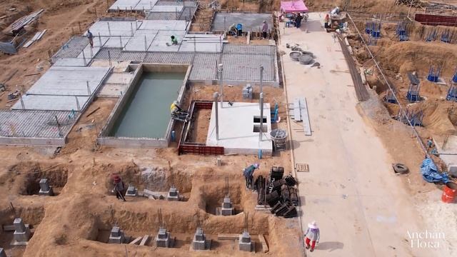Anchan Flora: Project Progression as of January 2023 смотреть онлайн
