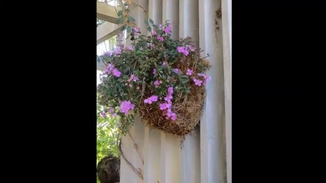 Wondering Flower scented Spring Garden смотреть онлайн