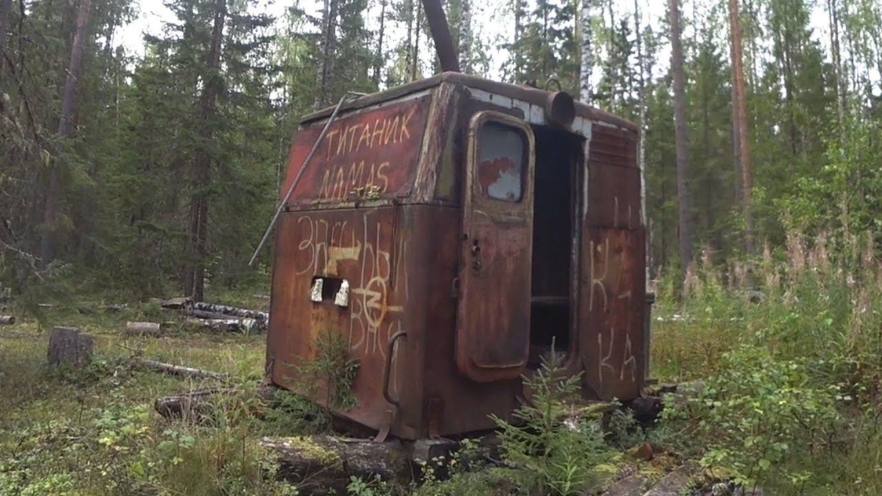 Ради этого стоило ехать за 100 км. В лес за ГРУЗДЯМИ! смотреть онлайн