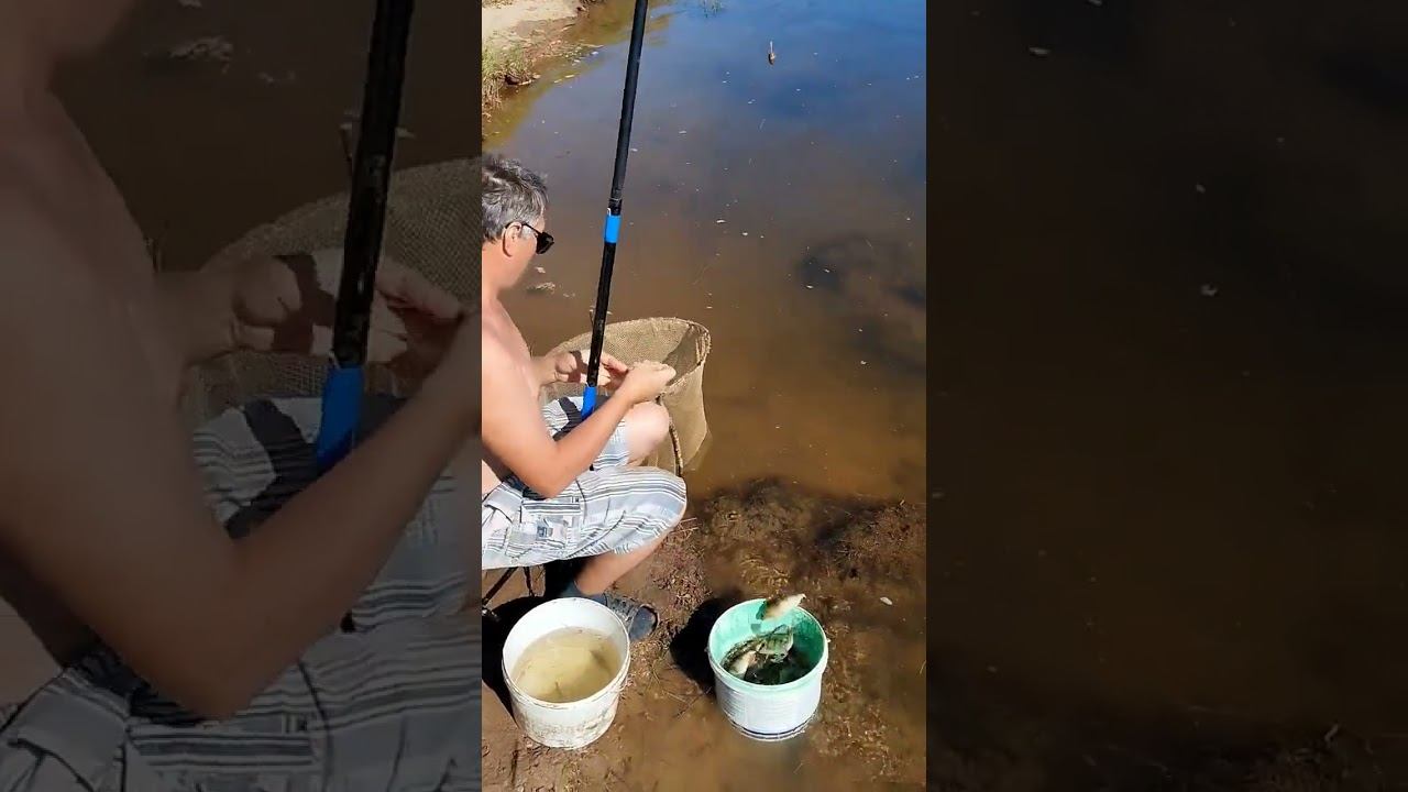 Такой рыбалке можно только завидовать