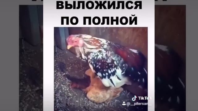 С Армии пришёл!!!! 😁😁😁 смотреть онлайн