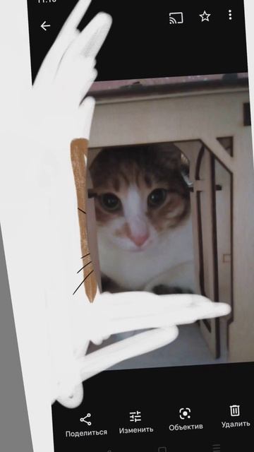 Нарисовала бусе, арт не судите строго, вообще не умею рисовать на телефоне, ещё рисовала быстро!!!