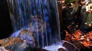 ПОТОК. Психология оптимального переживания.