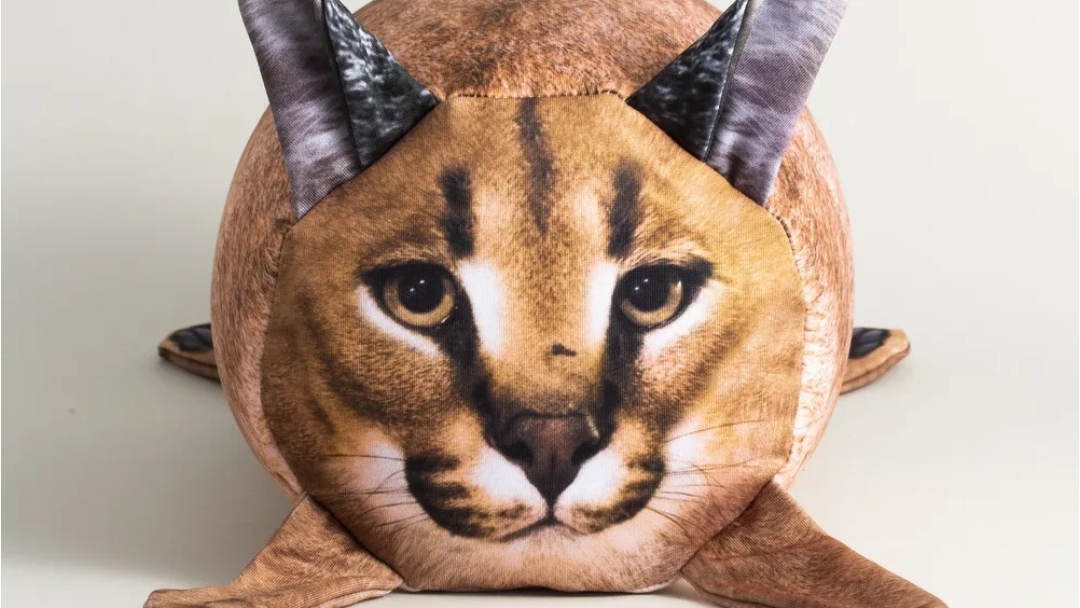 реакция на шлёпу play!!! смотреть онлайн