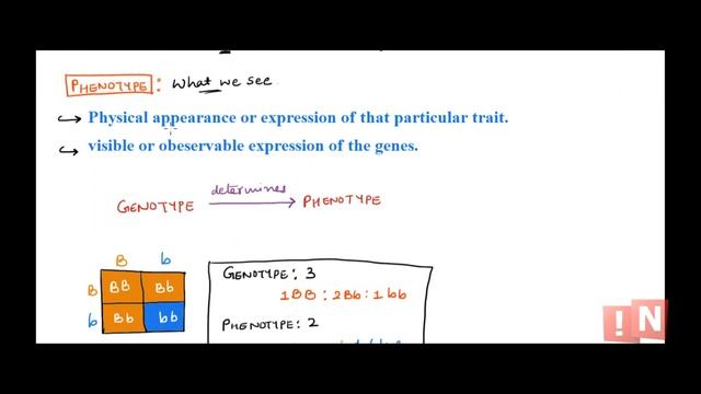 Genotype & Phenotype – What is the Difference? смотреть онлайн