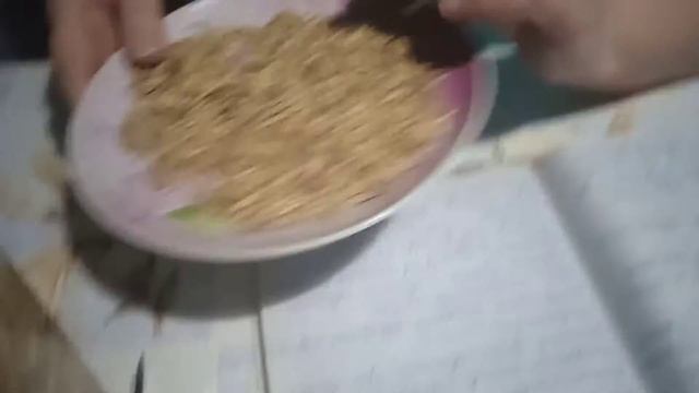 зелёные целители и их лечебные свойства, биостимулятор овсяная сила