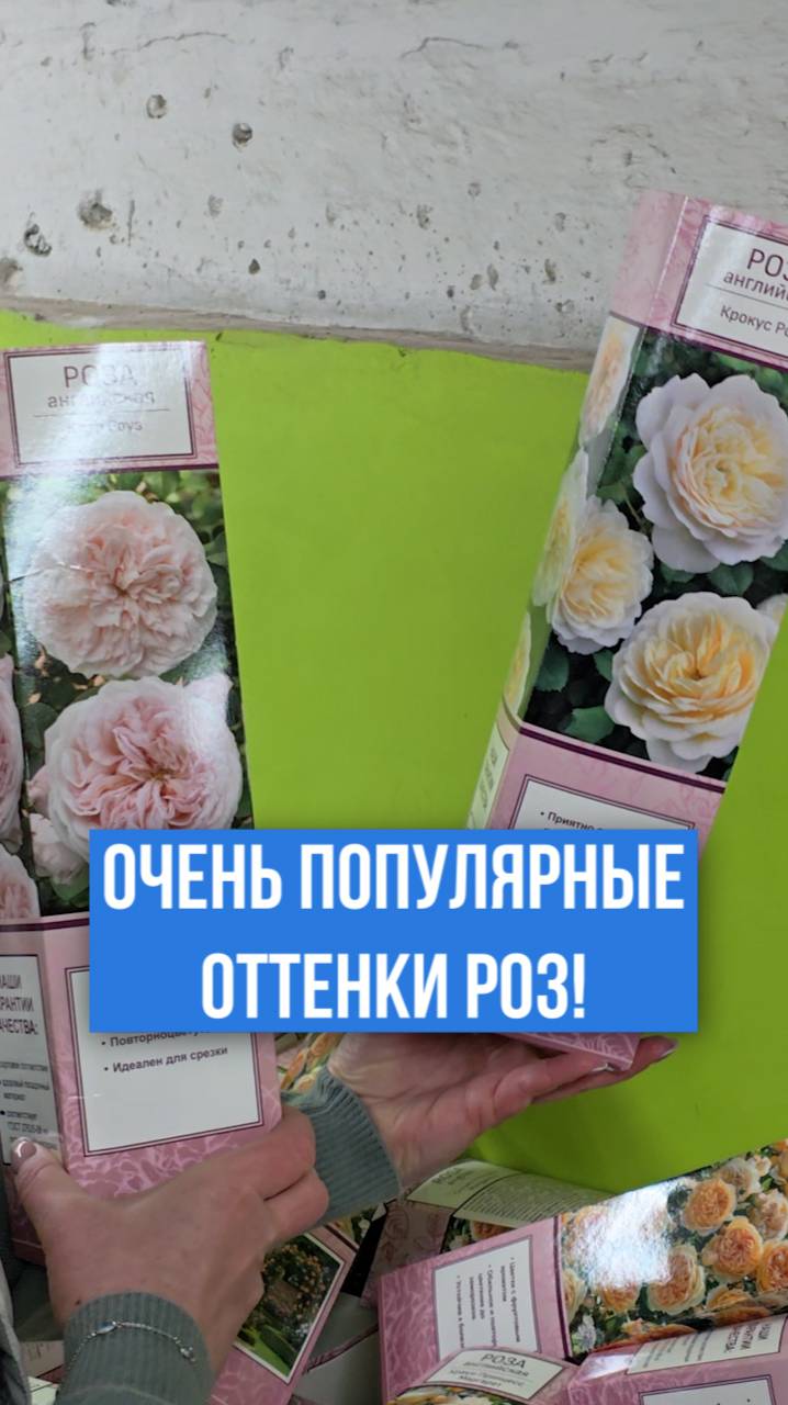 Эти розы сейчас В ТРЕНДЕ!