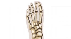 Операции при вальгусной деформации стопы SCARF и AKIN остеотомия 🔪🦶