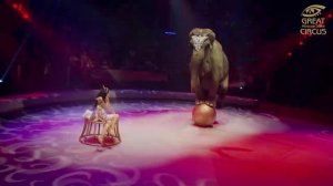 Андрей Дементьев-Корнилов:
Артист, дрессировщик слонов