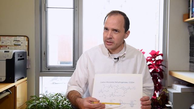Interview With James Donahue, Tulane Department of Chemistry смотреть онлайн