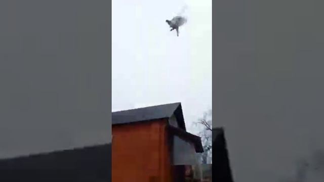 Такла расул грозный смотреть онлайн