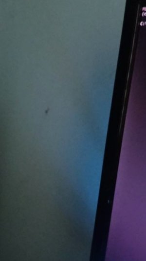 Самая полезная команда в командной строке