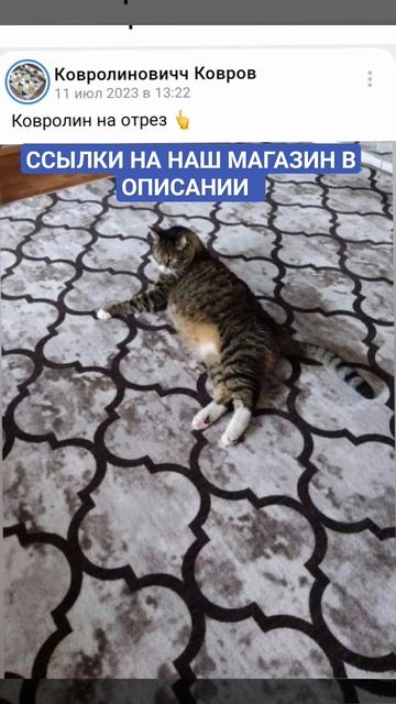 ‼️МАГАЗИН -ОНЛАЙН‼️✅КОВРОЛИНЫ✅ДОСТАВКА ЗА НАШ СЧЕТ ПО РФ✅ЛЮБЫЕ РАЗМЕРЫ,СХЕМЫ,ФОРМЫ( оттенков много! смотреть онлайн