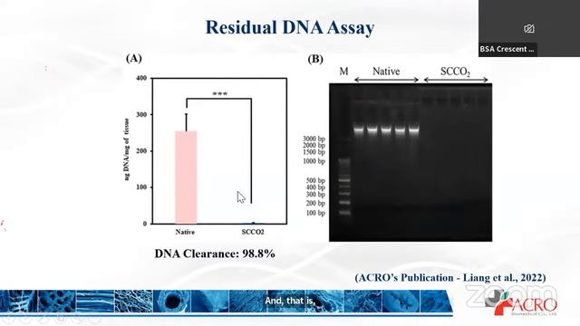 International Webinar - Production of Biomaterials смотреть онлайн