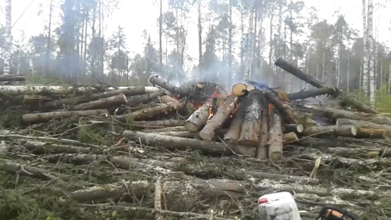 Что сгорит- то не сгниёт! Подбор делянки. смотреть онлайн