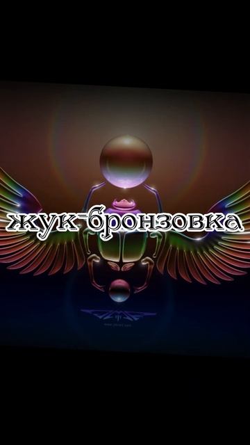 В египетских обрядах было множество символов, которые имели важное значение