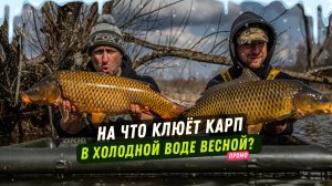 Весенняя ловля карпа: выбор точки, корм и монтажи. Деревенский дикарь — промо фильма