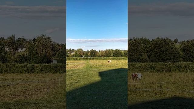 5-7 июля Грин Ранч,три дня с Богом. Свет надежды. 50+ взрослых и море детей. смотреть онлайн