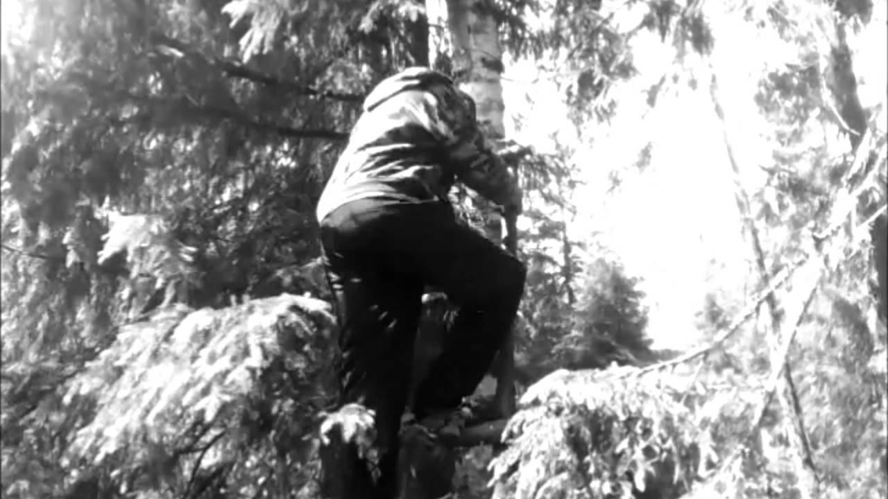 На работе, вешаем скворечники. смотреть онлайн