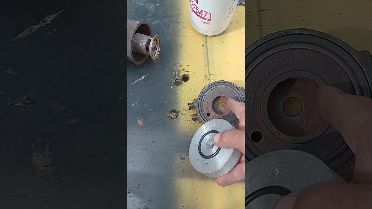 5 сентября 2024 г. смотреть онлайн