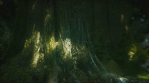 Скрытые жизни Невидимые обитатели почвы