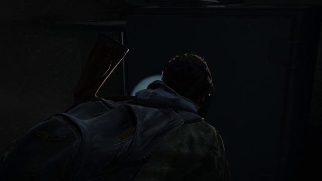 ALeXXX_Doma InGame: The Last of Us Part II Remastered # 2