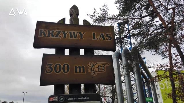 Q-We Vlog • Road Trip Poland - Day 04 Szczecin, Krzywy Las: Walk in the Nature, Crooked Forest смотреть онлайн