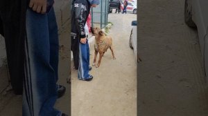 К нам приехали замечательные гости