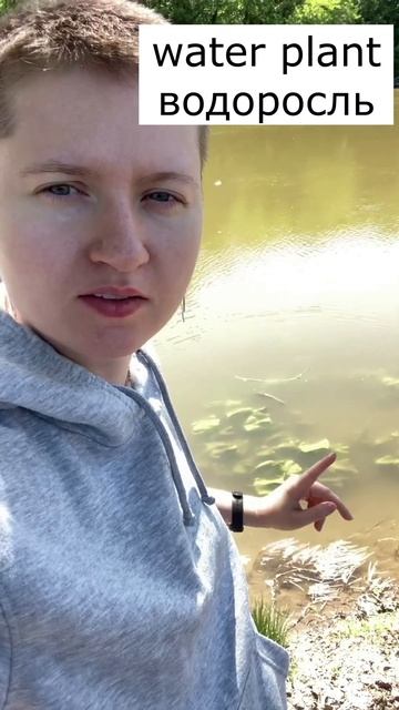 Мама, а как это будет? Water plant смотреть онлайн