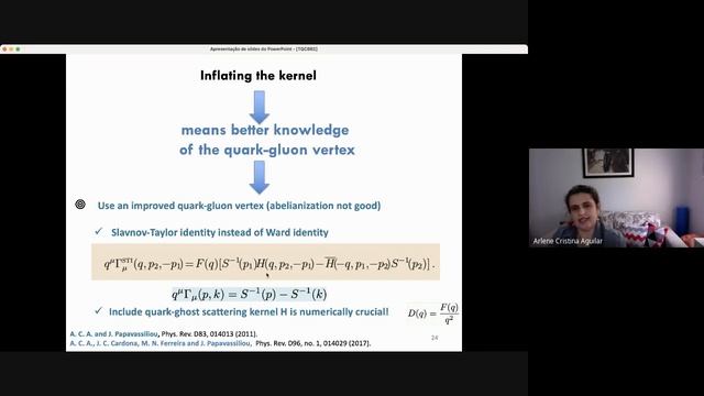 Understanding the origin of the quark mass - Profa. Arlene Cristina Aguilar (UNICAMP) смотреть онлайн