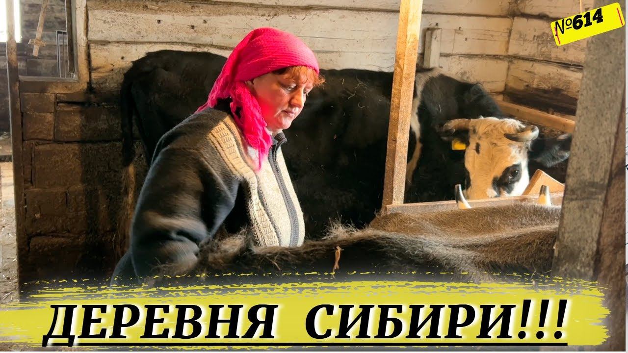 Деревенские будни на канале Омск Москаленки. смотреть онлайн