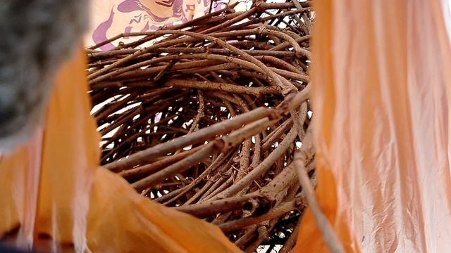 Поделки для сада из виноградной лозы, апрель 2025 смотреть онлайн