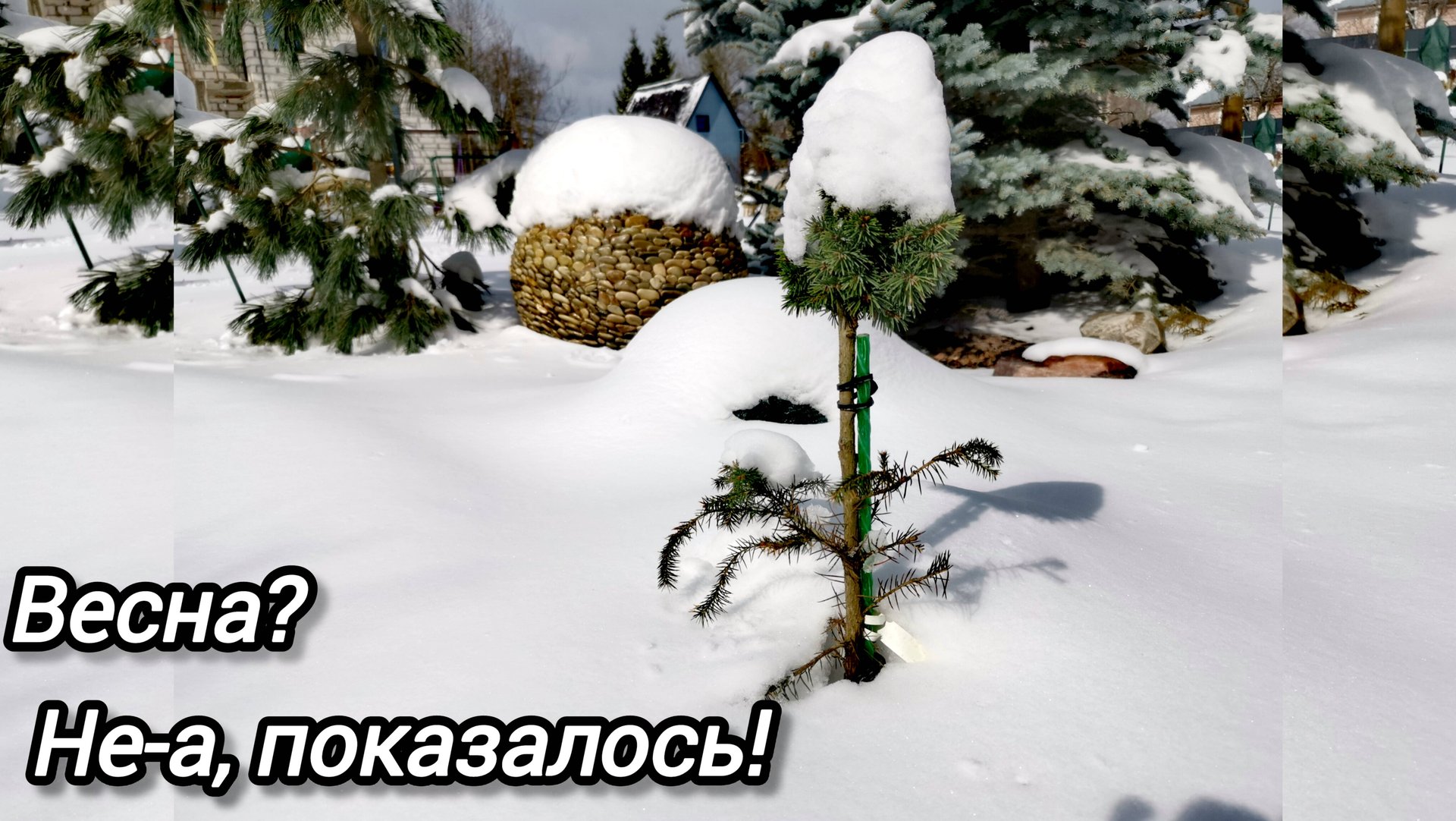 Сад под сугробами!☃️❄️Обзор! 09.04.2025г смотреть онлайн