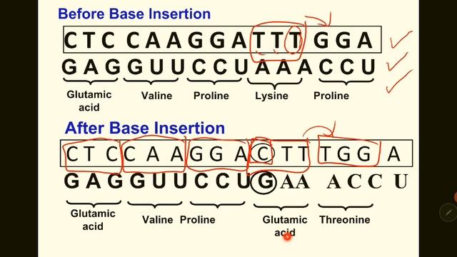 7.2 Gene Mutation (part 2) смотреть онлайн